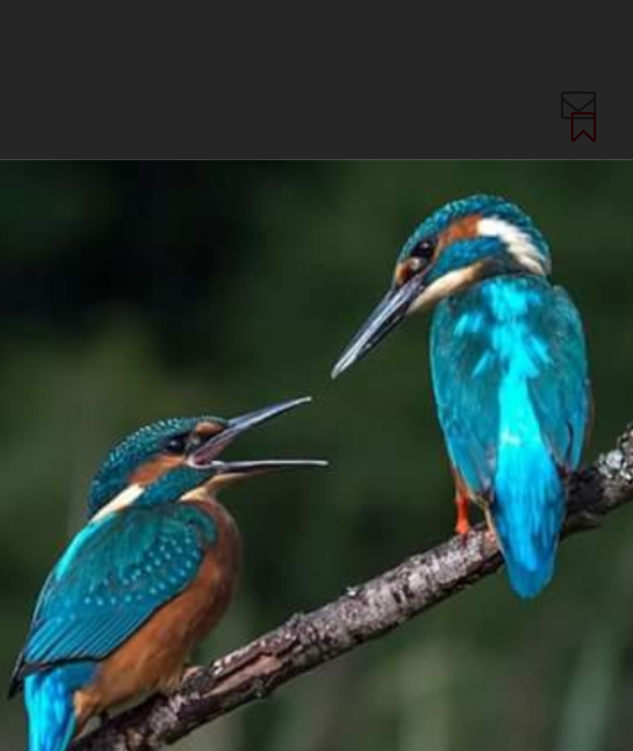 Screenshot_20180504-231835.jpg
