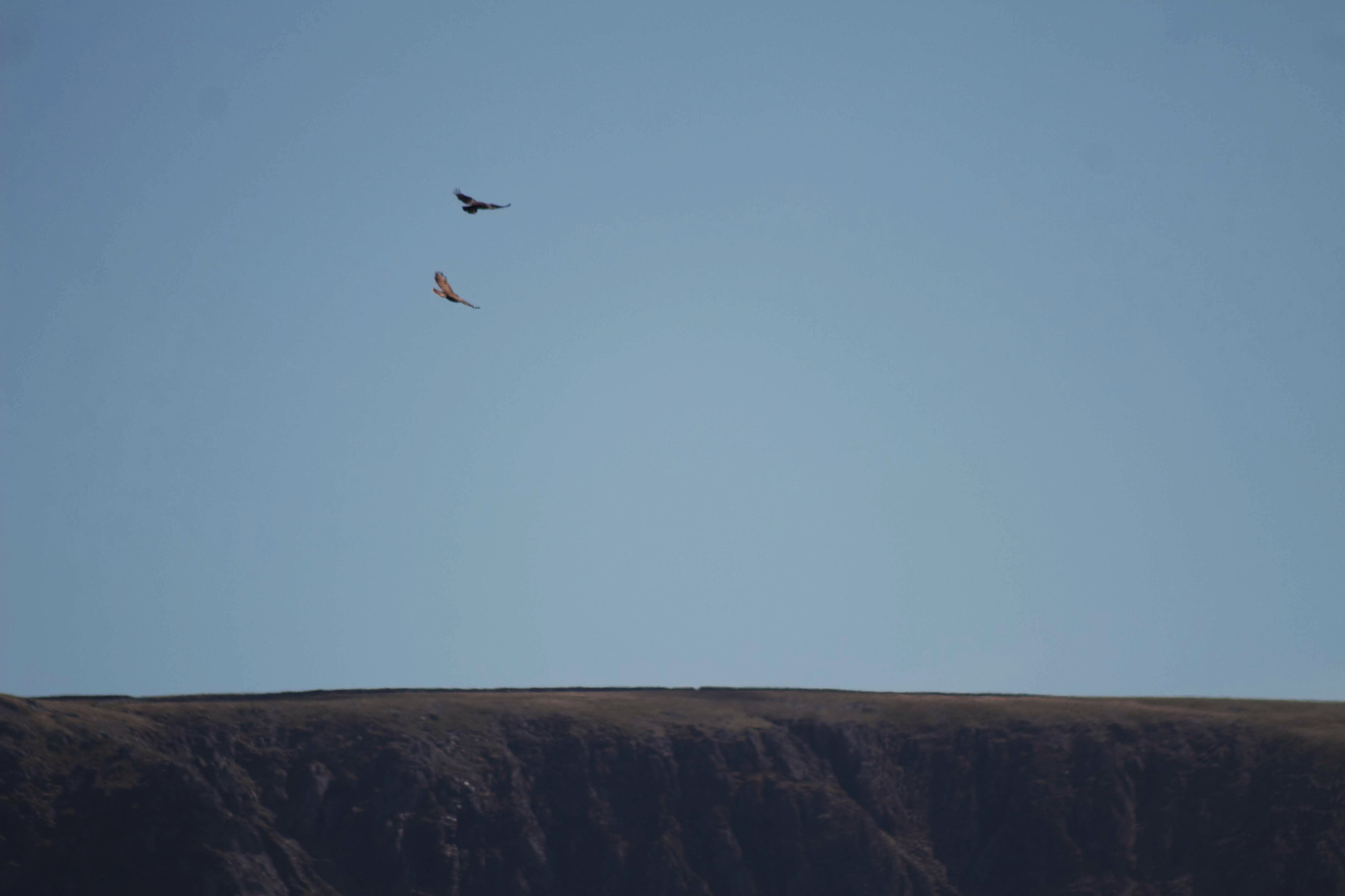 IMG_3467-01.jpeg