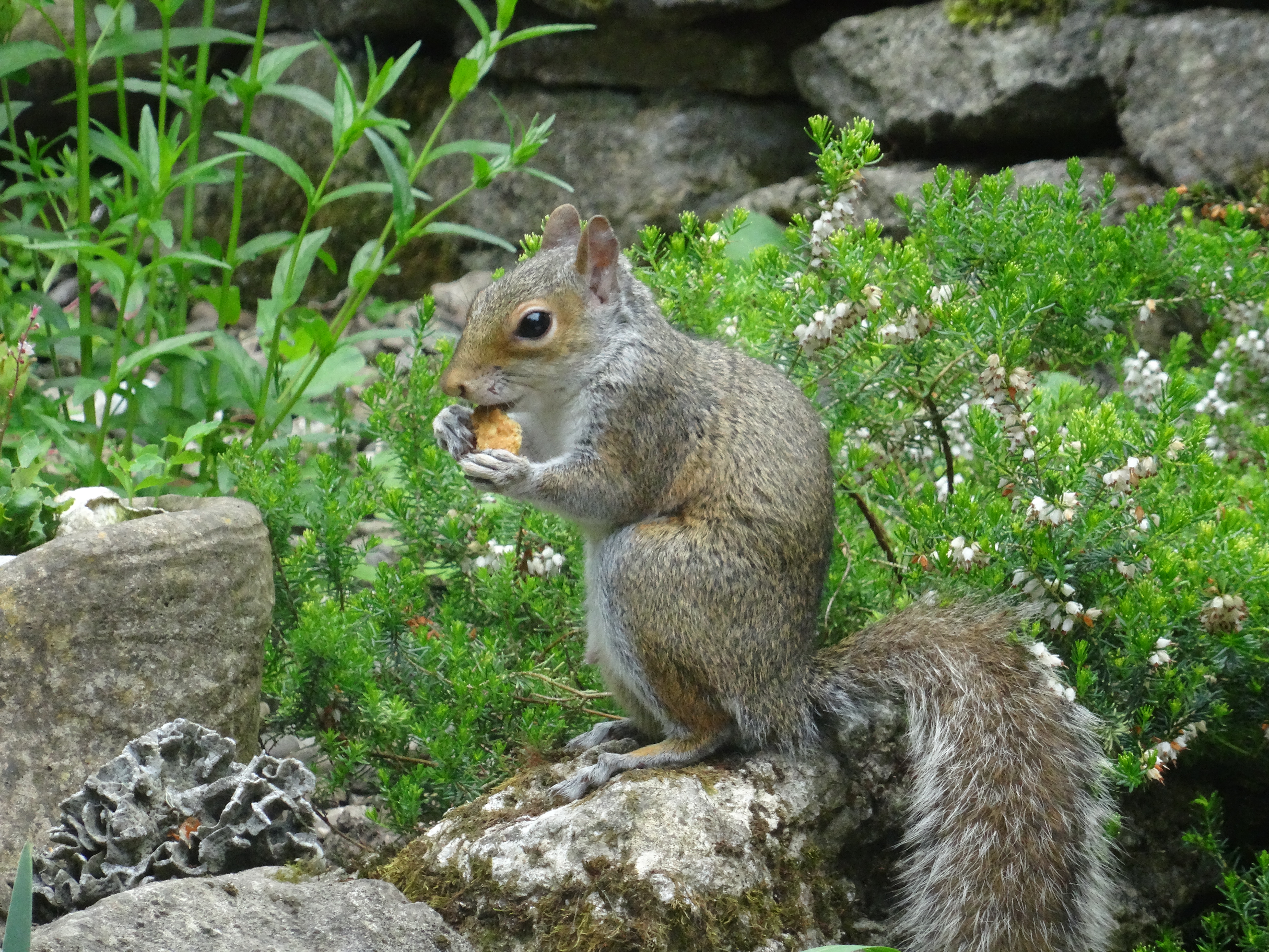 DSC02804.JPG