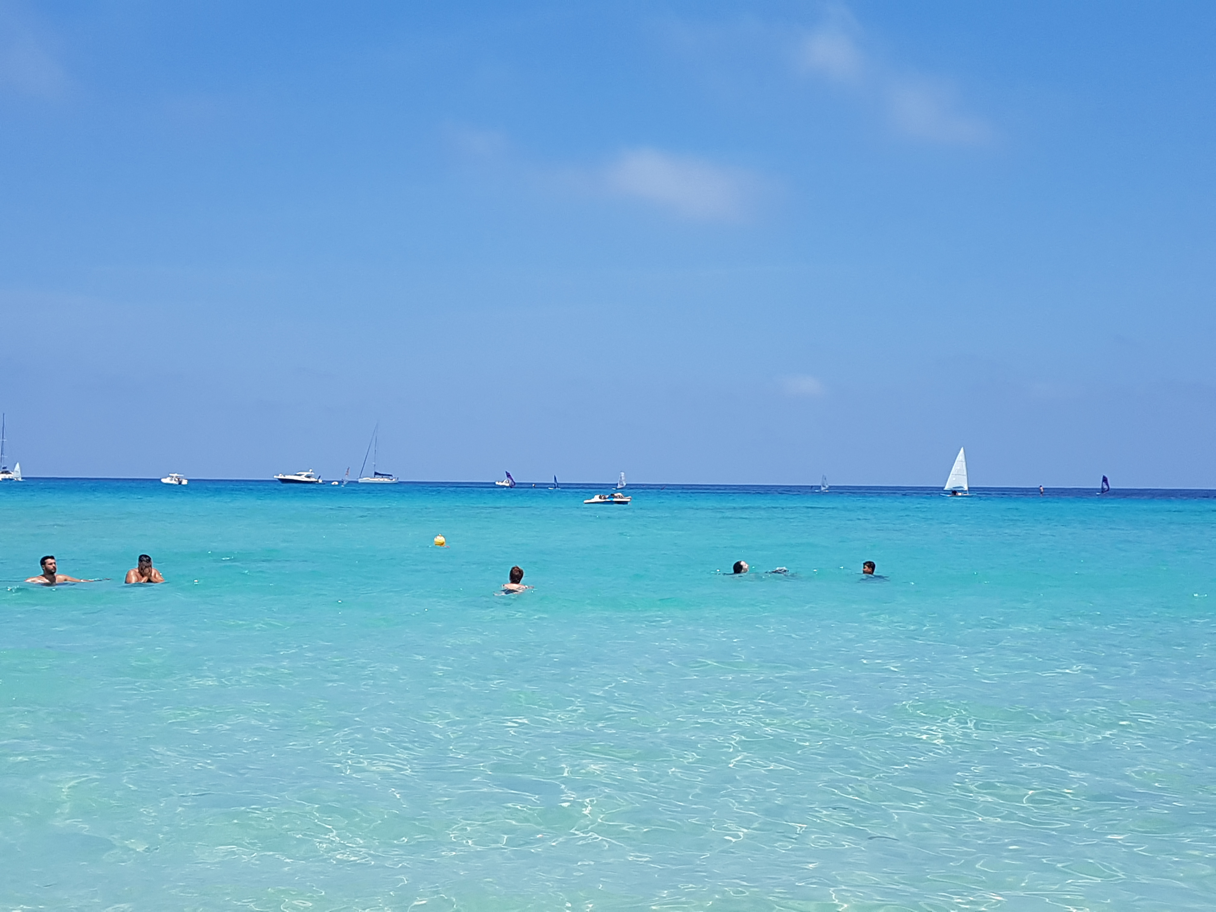 20180619_123439.jpg