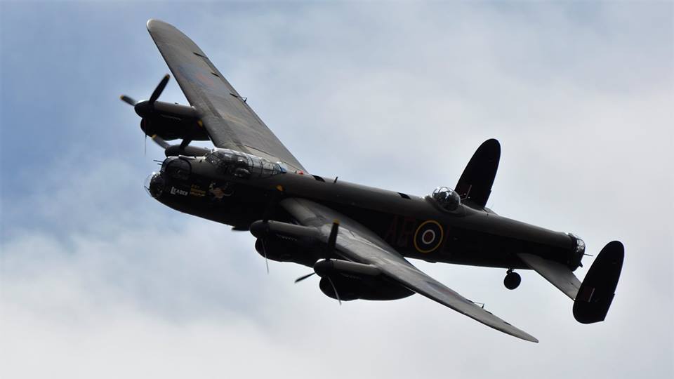 lanky bomber.jpg