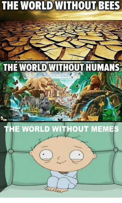 the-world-without-bees-the-worldwithout-humans-the-world-without-4983496.png.cf.png