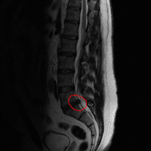Back1.jpg