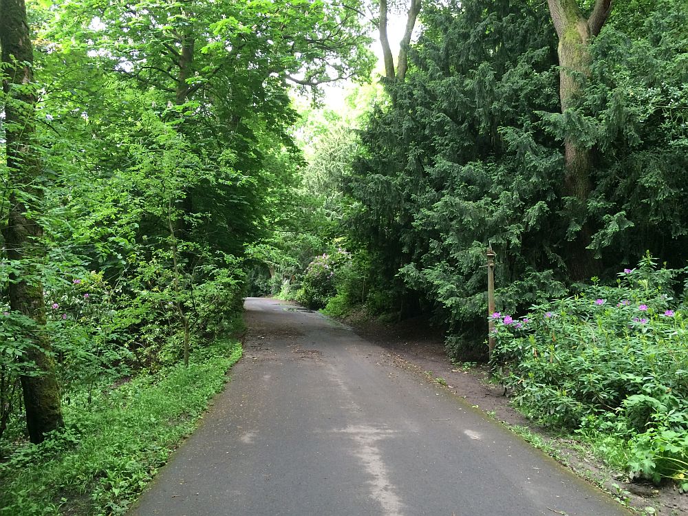 Towneley 1.jpg