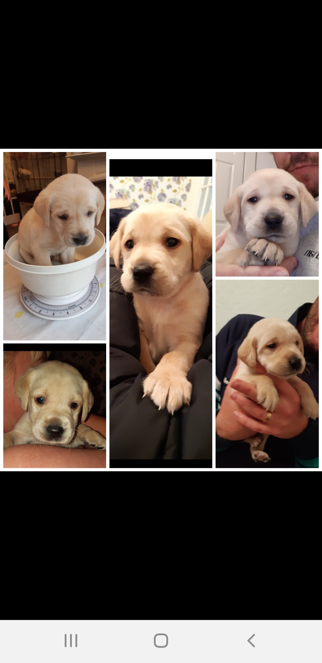 Screenshot_20190611-202647_Collage Maker.jpg
